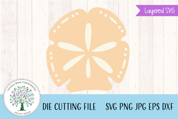 Simple Sand Dollar Layered SVG File, Png – Beach-Themed Crafts Graphics for Digital Sellers